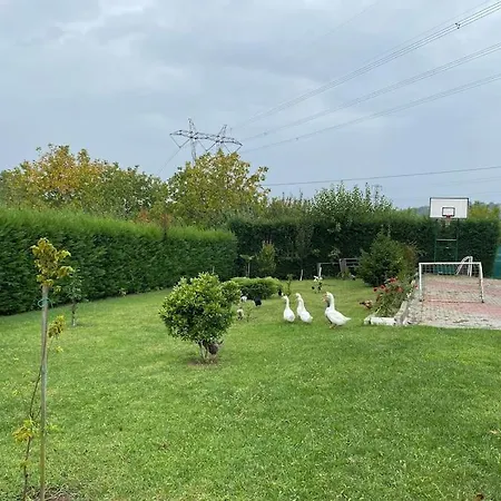 Yesil Bahce Ciftlik Evi Serdivan